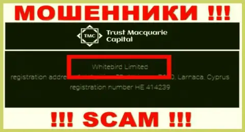 На официальном сервисе Trust M Capital сказано, что этой конторой руководит Вайтберд Лтд