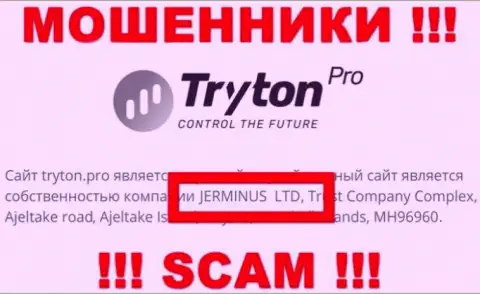 Данные об юр. лице TrytonPro - им является контора Jerminus LTD