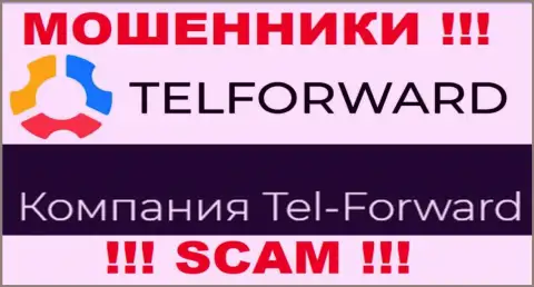 Юридическое лицо TelForward - это Тел-Форвард, именно такую информацию опубликовали аферисты у себя на веб-сайте