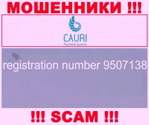 Регистрационный номер, который принадлежит противоправно действующей организации Cauri - 9507138