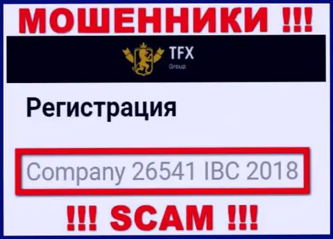 Номер регистрации, который принадлежит противозаконно действующей конторе TFX-Group Com - 26541 IBC 2018
