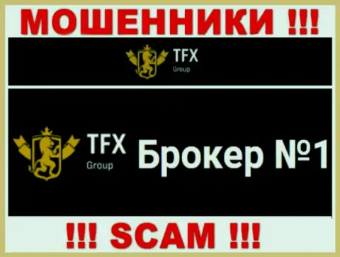 Не советуем доверять финансовые вложения TFX-Group Com, поскольку их направление деятельности, Форекс, капкан