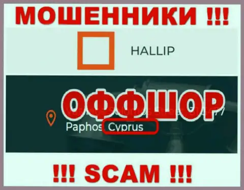Лохотрон Халлип имеет регистрацию на территории - Cyprus