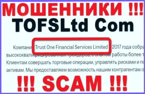 Свое юридическое лицо компания TOFSLtd не скрывает - это Траст Ван Финансиал Сервисес Лтд