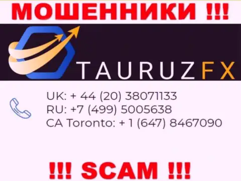 Не поднимайте телефон, когда трезвонят неизвестные, это могут оказаться интернет жулики из конторы ТаурузФХ