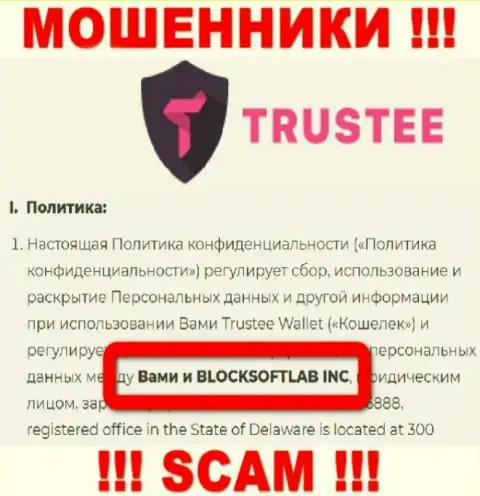 BLOCKSOFTLAB INC руководит компанией Трасти - это МОШЕННИКИ !!!