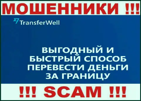 Не верьте, что работа TransferWell в сфере Платежная система законная