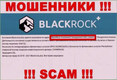 Руководителями Black Rock Plus оказалась контора - BlackRock Investment Management (UK) Ltd