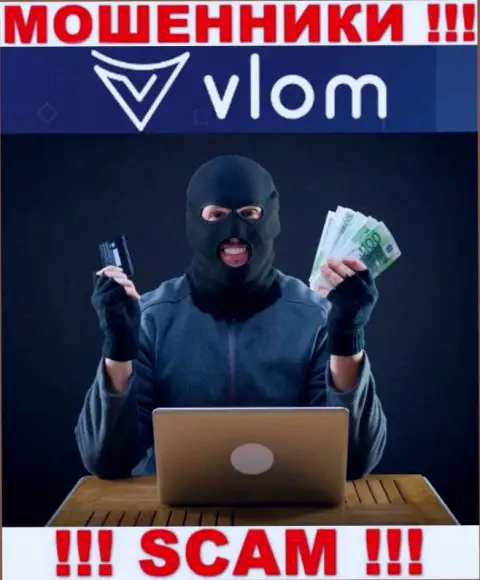 В конторе Vlom Com вешают лапшу на уши лохам и затягивают в свой мошеннический проект