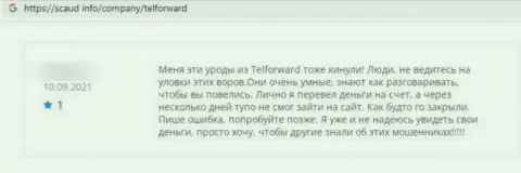 Сотрудничая совместно с TelForward Net рискуете оказаться среди оставленных без копейки денег, указанными интернет разводилами, реальных клиентов (отзыв)