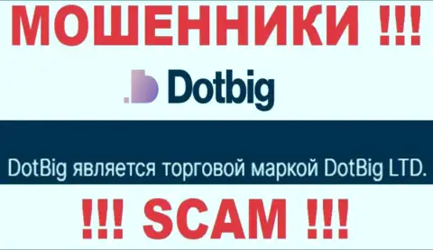 Dot Big - юридическое лицо ворюг контора DotBig LTD