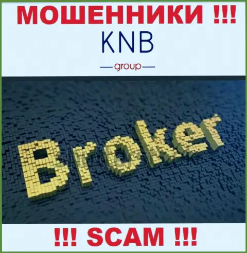Тип деятельности незаконно действующей компании KNB Group - это Broker