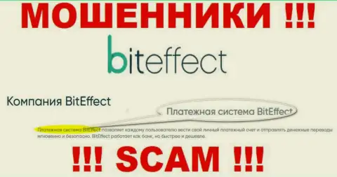 Осторожнее, вид работы BitEffect, Платёжная система - это кидалово !