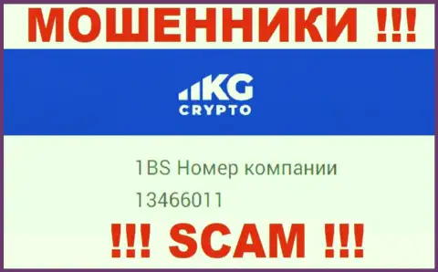 Номер регистрации организации CryptoKG, Inc, в которую денежные средства лучше не перечислять: 13466011