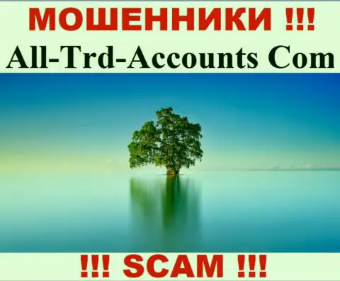 All Trd Accounts воруют вклады и остаются без наказания - они скрывают сведения о юрисдикции