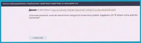 Дилинговая фирма CauvoCapital представлена в отзыве на информационном ресурсе revocon ru