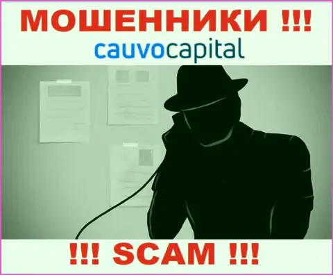 Очень рискованно верить КаувоКапитал Ком, они internet-обманщики, которые находятся в поиске очередных жертв