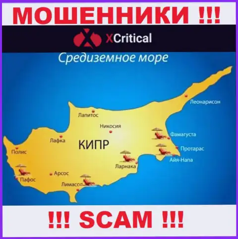 Кипр - вот здесь, в оффшорной зоне, базируются разводилы ХКритикал