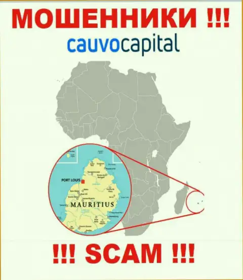 Контора Cauvo Capital похищает вклады людей, зарегистрировавшись в офшорной зоне - Mauritius