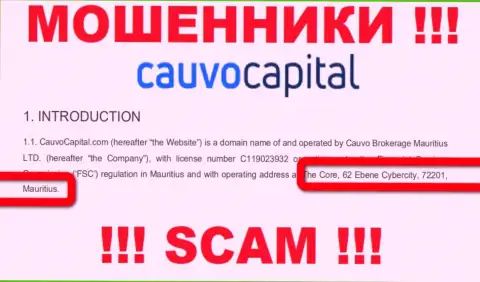 Невозможно забрать назад финансовые активы у компании КаувоКапитал - они отсиживаются в оффшоре по адресу - The Core, 62 Ebene Cybercity, 72201, Mauritius