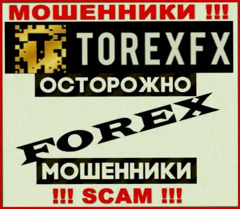 Род деятельности Torex FX: ФОРЕКС - отличный заработок для обманщиков