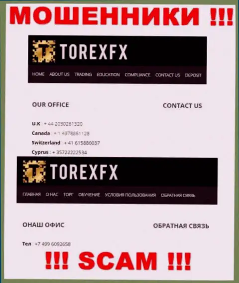 В арсенале у разводил из компании TorexFX Com имеется не один номер телефона