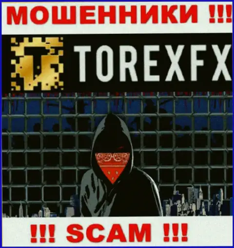 Torex FX скрывают сведения о руководителях компании